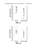 VASCULAR ENDOTHELIAL CELL GROWTH FACTOR ANTAGONISTS AND USES THEREOF diagram and image