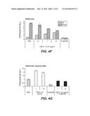 ANTI-LRP6 ANTIBODIES diagram and image