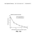 ANTI-LRP6 ANTIBODIES diagram and image