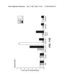 ANTI-LRP6 ANTIBODIES diagram and image