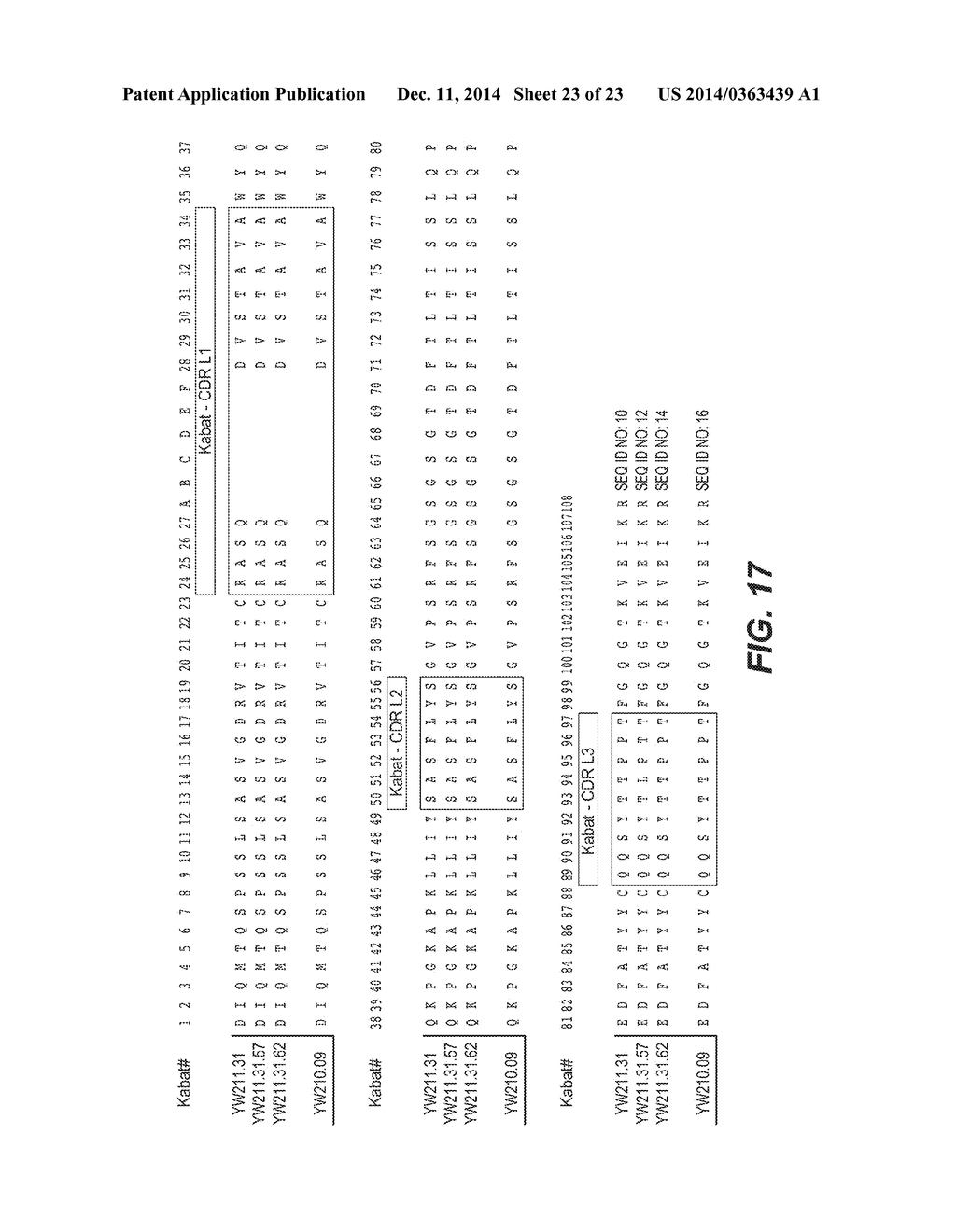 ANTI-LRP6 ANTIBODIES - diagram, schematic, and image 24