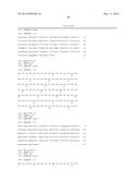 Anti-IL-23 Antibodies diagram and image