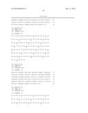 Anti-IL-23 Antibodies diagram and image