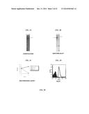 HETEROLOGOUS EXPRESSION OF NEISSERIAL PROTEINS diagram and image