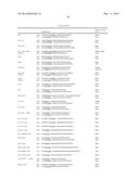 HETEROLOGOUS EXPRESSION OF NEISSERIAL PROTEINS diagram and image