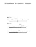 HETEROLOGOUS EXPRESSION OF NEISSERIAL PROTEINS diagram and image