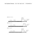 HETEROLOGOUS EXPRESSION OF NEISSERIAL PROTEINS diagram and image