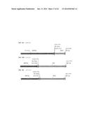 HETEROLOGOUS EXPRESSION OF NEISSERIAL PROTEINS diagram and image