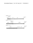 HETEROLOGOUS EXPRESSION OF NEISSERIAL PROTEINS diagram and image