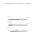 HETEROLOGOUS EXPRESSION OF NEISSERIAL PROTEINS diagram and image