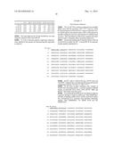 HETEROLOGOUS EXPRESSION OF NEISSERIAL PROTEINS diagram and image