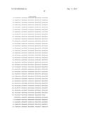 HETEROLOGOUS EXPRESSION OF NEISSERIAL PROTEINS diagram and image