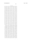 HETEROLOGOUS EXPRESSION OF NEISSERIAL PROTEINS diagram and image