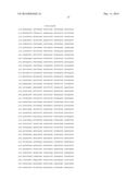 HETEROLOGOUS EXPRESSION OF NEISSERIAL PROTEINS diagram and image