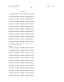 HETEROLOGOUS EXPRESSION OF NEISSERIAL PROTEINS diagram and image