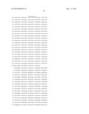 HETEROLOGOUS EXPRESSION OF NEISSERIAL PROTEINS diagram and image