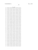 HETEROLOGOUS EXPRESSION OF NEISSERIAL PROTEINS diagram and image