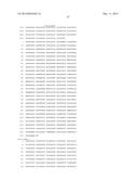 HETEROLOGOUS EXPRESSION OF NEISSERIAL PROTEINS diagram and image