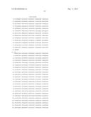 HETEROLOGOUS EXPRESSION OF NEISSERIAL PROTEINS diagram and image