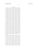 HETEROLOGOUS EXPRESSION OF NEISSERIAL PROTEINS diagram and image