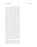 HETEROLOGOUS EXPRESSION OF NEISSERIAL PROTEINS diagram and image