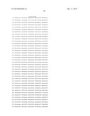 HETEROLOGOUS EXPRESSION OF NEISSERIAL PROTEINS diagram and image