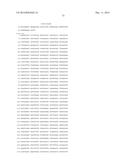 HETEROLOGOUS EXPRESSION OF NEISSERIAL PROTEINS diagram and image