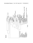 ANIMAL MEAL THAT INCLUDES FUNGAL BIOMASS diagram and image