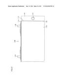 ELECTRIC STORAGE DEVICE AND ELECTRIC STORAGE APPARATUS diagram and image