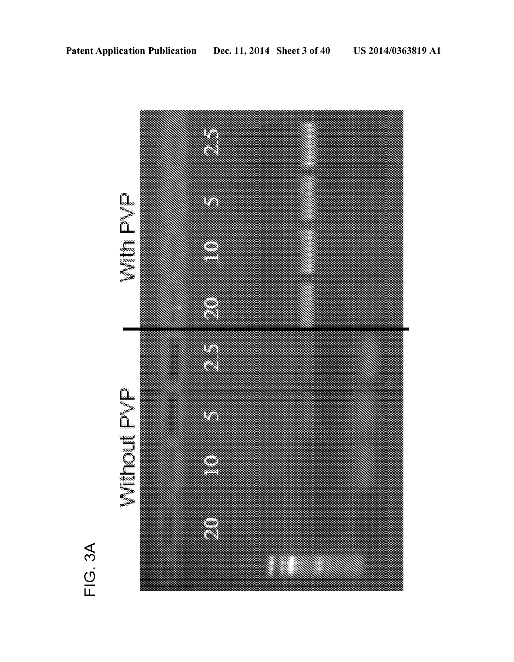 COMPOSITION TO OVERCOME INHIBITORS IN PCR AND GROWTH CULTURES - diagram, schematic, and image 04