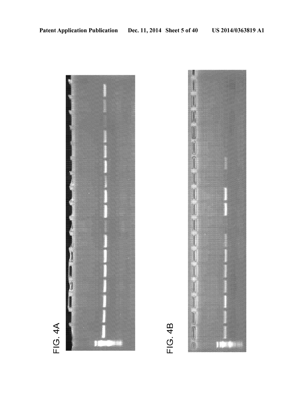 COMPOSITION TO OVERCOME INHIBITORS IN PCR AND GROWTH CULTURES - diagram, schematic, and image 06