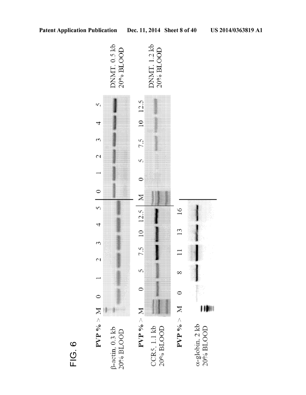 COMPOSITION TO OVERCOME INHIBITORS IN PCR AND GROWTH CULTURES - diagram, schematic, and image 09