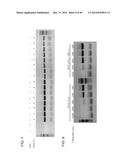 COMPOSITION TO OVERCOME INHIBITORS IN PCR AND GROWTH CULTURES diagram and image