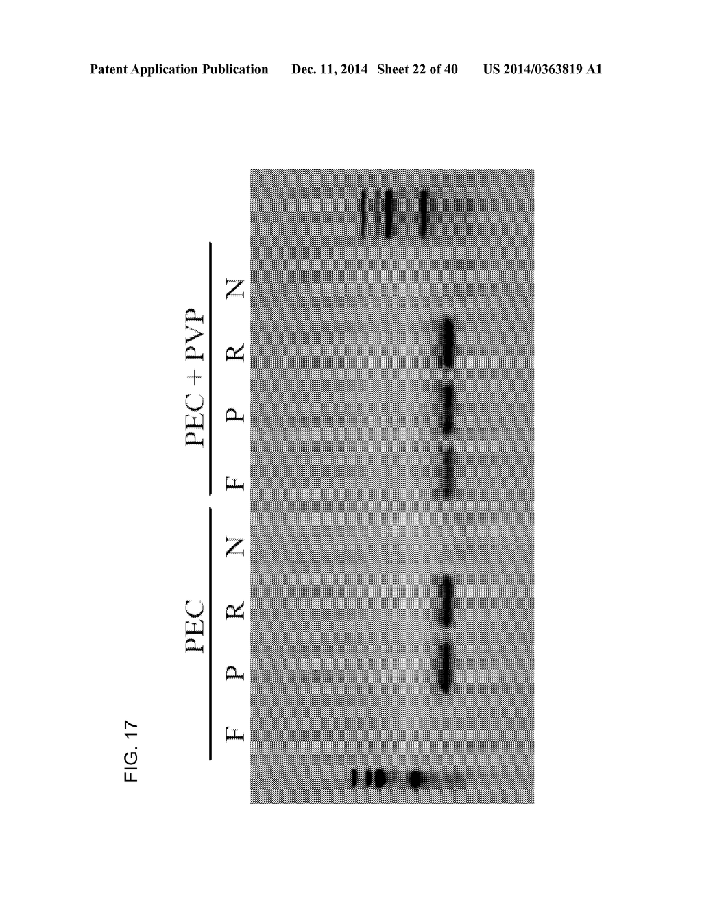 COMPOSITION TO OVERCOME INHIBITORS IN PCR AND GROWTH CULTURES - diagram, schematic, and image 23