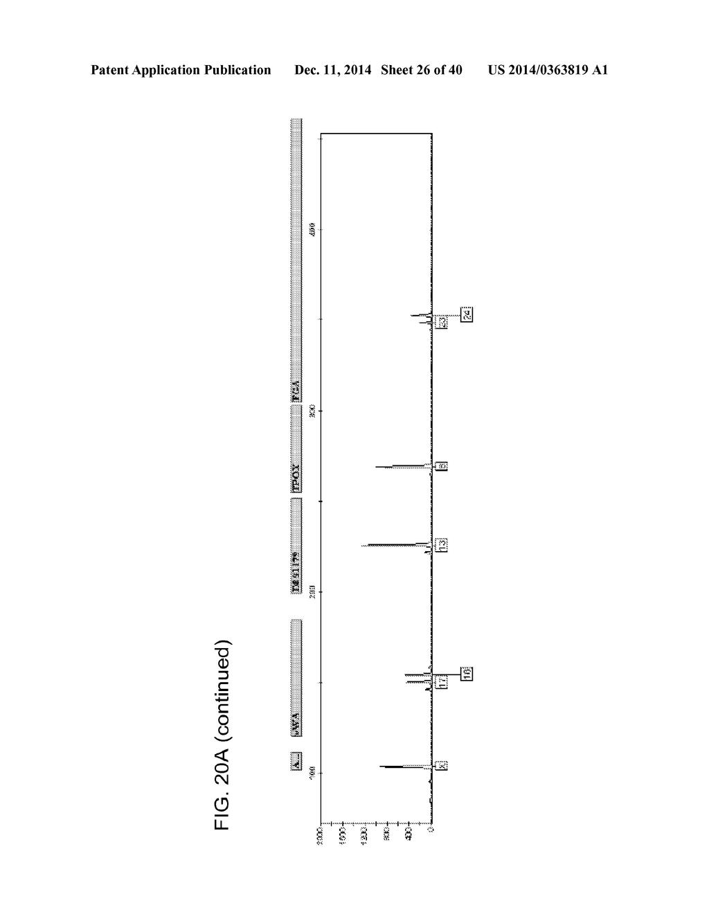 COMPOSITION TO OVERCOME INHIBITORS IN PCR AND GROWTH CULTURES - diagram, schematic, and image 27