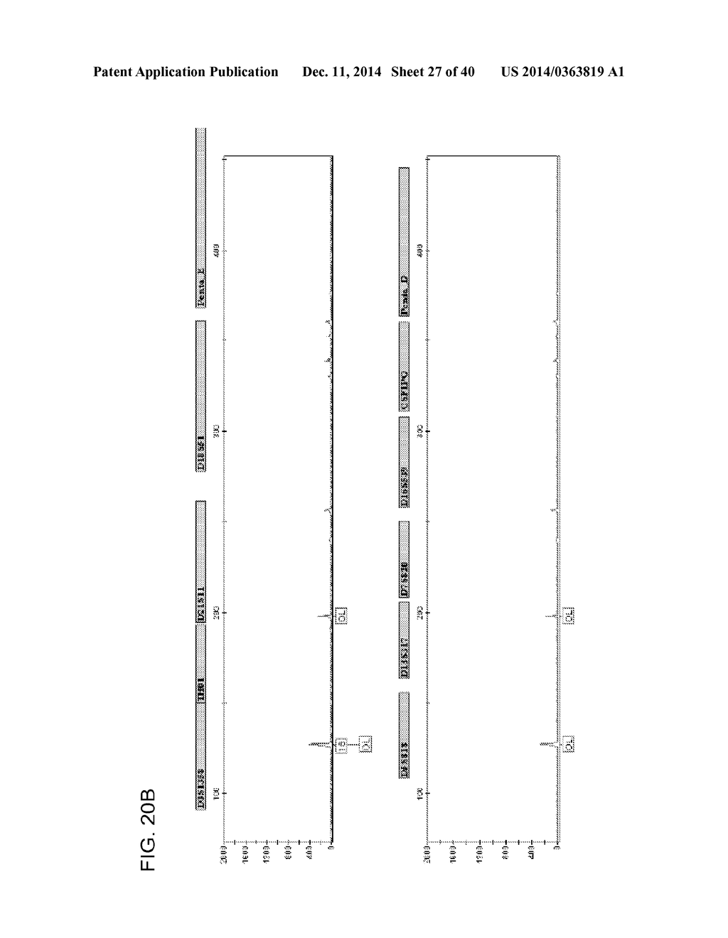 COMPOSITION TO OVERCOME INHIBITORS IN PCR AND GROWTH CULTURES - diagram, schematic, and image 28