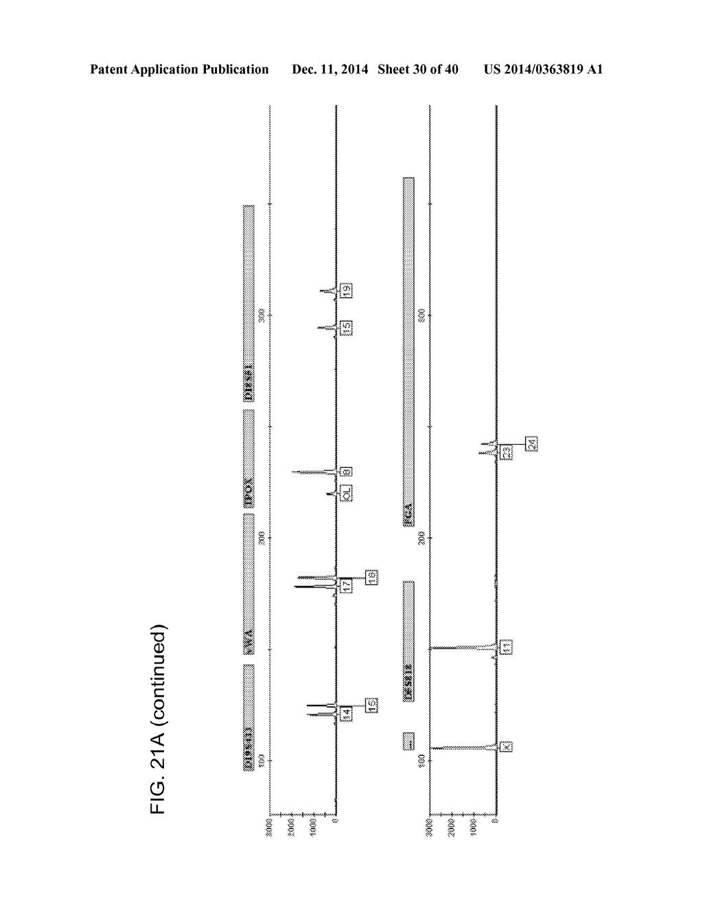 COMPOSITION TO OVERCOME INHIBITORS IN PCR AND GROWTH CULTURES - diagram, schematic, and image 31