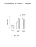 METHOD FOR DETECTING AND EXAMINING TRAUMATIC BRAIN INJURY IN VITRO diagram and image