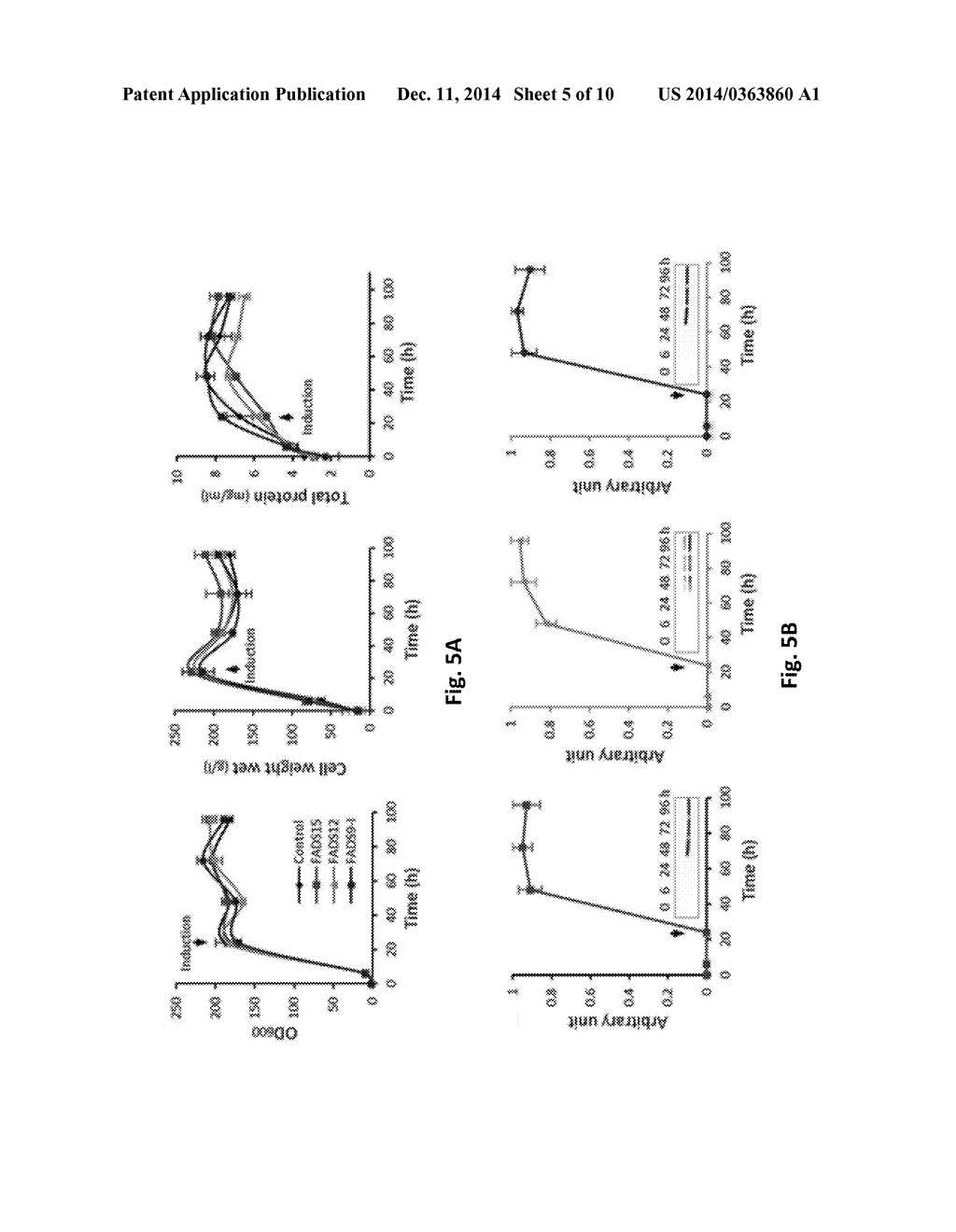 Omega-3 desaturase used in the biosynthesis of  polyunsaturated fatty     acids - diagram, schematic, and image 06