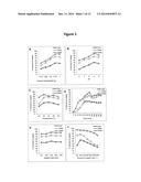 PROCESS FOR OBTAINING COPPER NANOPARTICLES FROM A FUNGUS SELECTED BETWEEN     HYPOCREA LIXII AND TRICHODERMA KONINGIOPSIS AND USE OF FUNGI SELECTED     BETWEEN HYPOCREA LIXII AND TRICHODERMA KONINGIOPSIS IN BIOREMEDIATION OF     WASTEWATER AND PRODUCTION OF COPPER NANOPARTICLES diagram and image