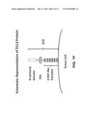 DLL3 MODULATORS AND METHODS OF USE diagram and image
