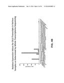 DLL3 MODULATORS AND METHODS OF USE diagram and image