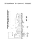 DLL3 MODULATORS AND METHODS OF USE diagram and image