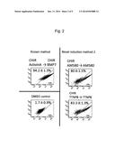 METHOD FOR INDUCING DIFFERENTIATION OF HUMAN PLURIPOTENT STEM CELLS INTO     INTERMEDIATE MESODERM CELLS diagram and image