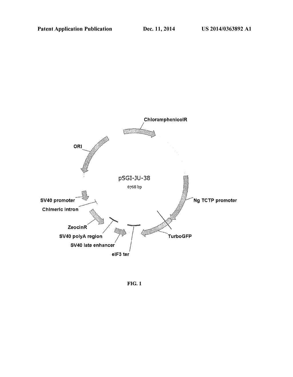 REGULATORY ELEMENTS AND USES THEREOF - diagram, schematic, and image 02