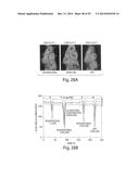 Multiplexed Olfactory Receptor-Based Microsurface Plasmon Polariton     Detector diagram and image