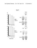 ASSAY FOR SCREENING COMPOUNDS THAT SELECTIVELY DECREASE THE NUMBER OF     CANCER STEM CELLS diagram and image