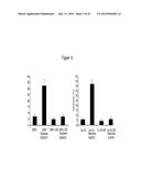 ASSAY FOR SCREENING COMPOUNDS THAT SELECTIVELY DECREASE THE NUMBER OF     CANCER STEM CELLS diagram and image