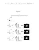 ASSAY FOR SCREENING COMPOUNDS THAT SELECTIVELY DECREASE THE NUMBER OF     CANCER STEM CELLS diagram and image