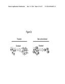 ASSAY FOR SCREENING COMPOUNDS THAT SELECTIVELY DECREASE THE NUMBER OF     CANCER STEM CELLS diagram and image